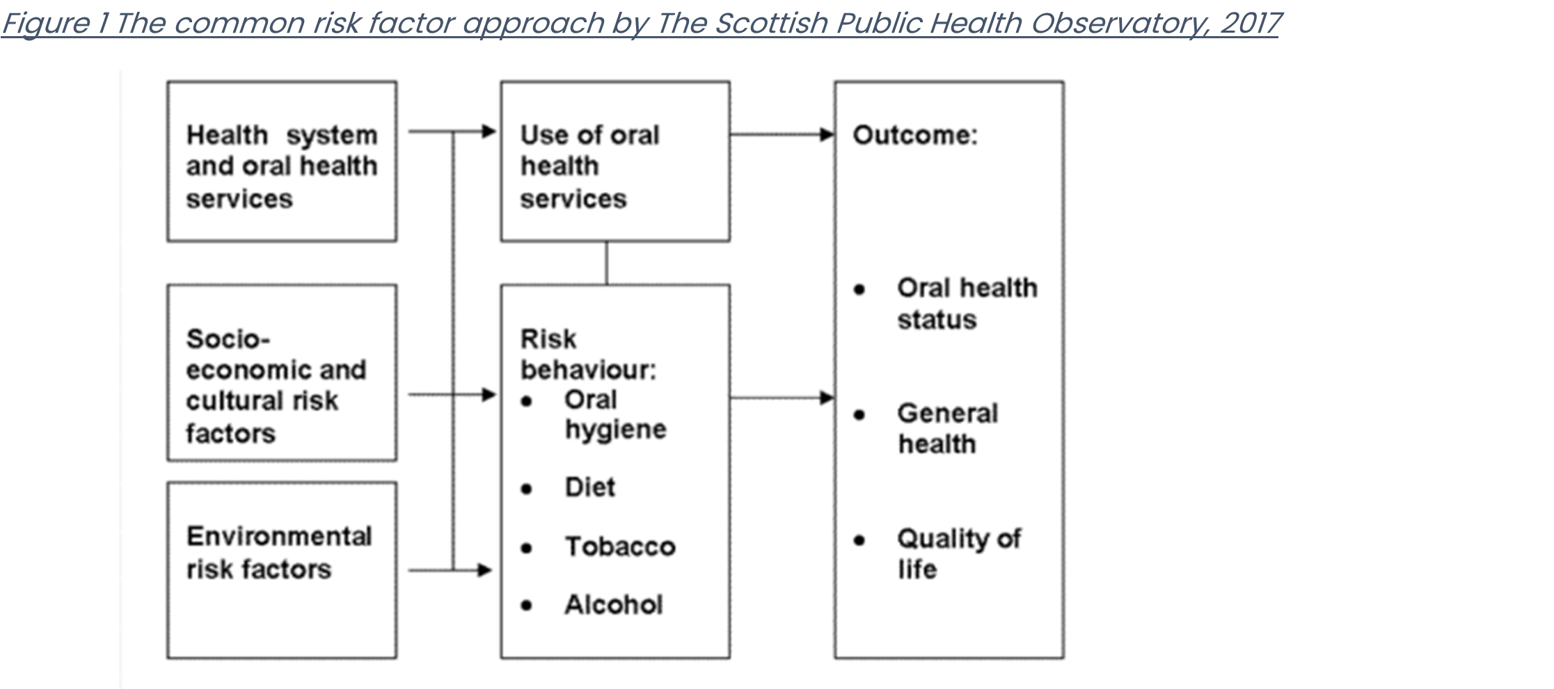 Flow Chart showing the common risk factors for health services & oral health services, evaluating risks - moving to use of Health Service due to selected risk, finally moving to Outcome - better oral health, general health, quality of life