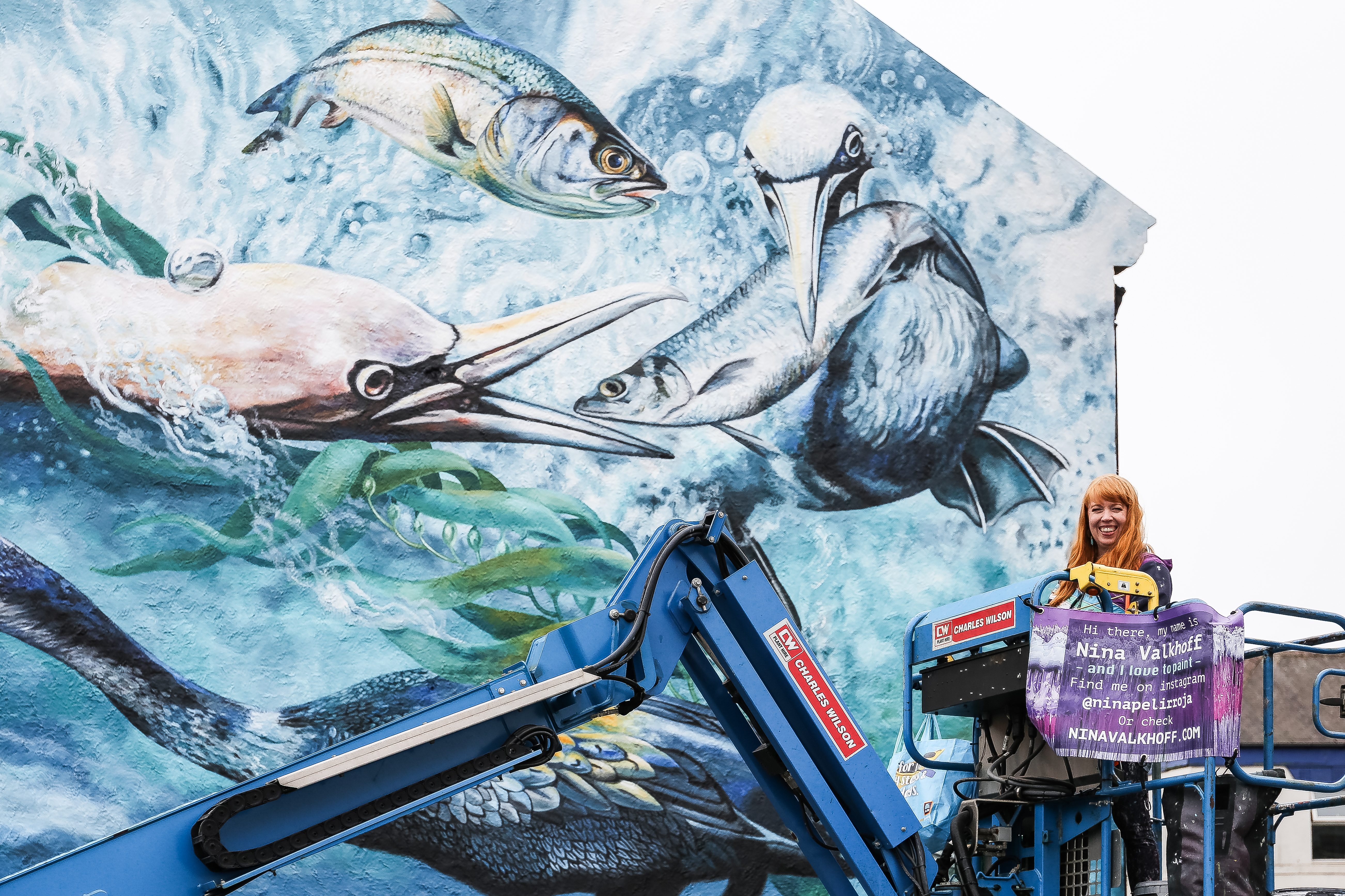 Mural of gulls catching fish on the side of a building. The artist, a woman looks on in a cherry picker