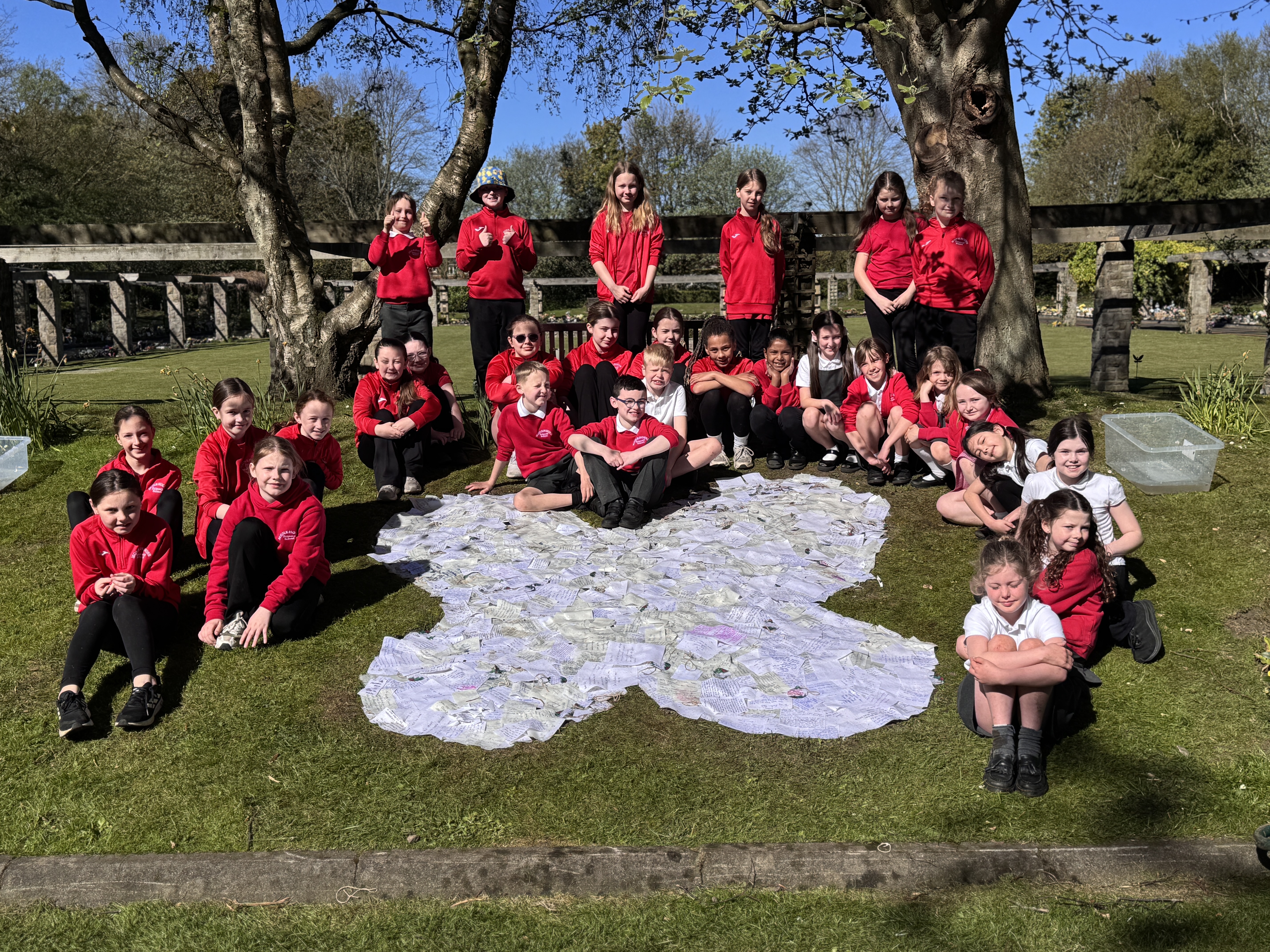 Butterfly planting