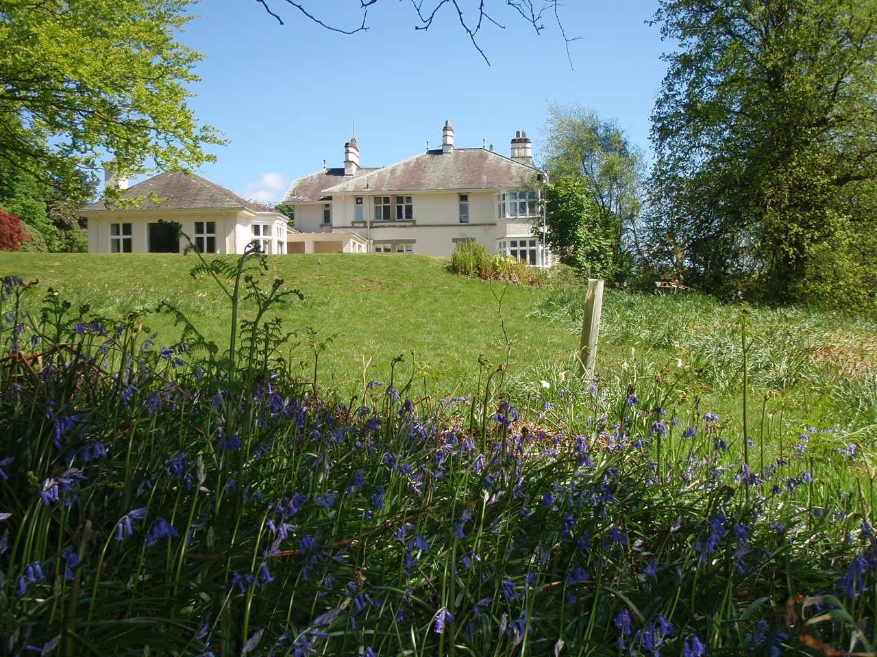 High Borrans house seen from across a field with wild flowers in the foreground and blue skies with trees around, the house is painted cream