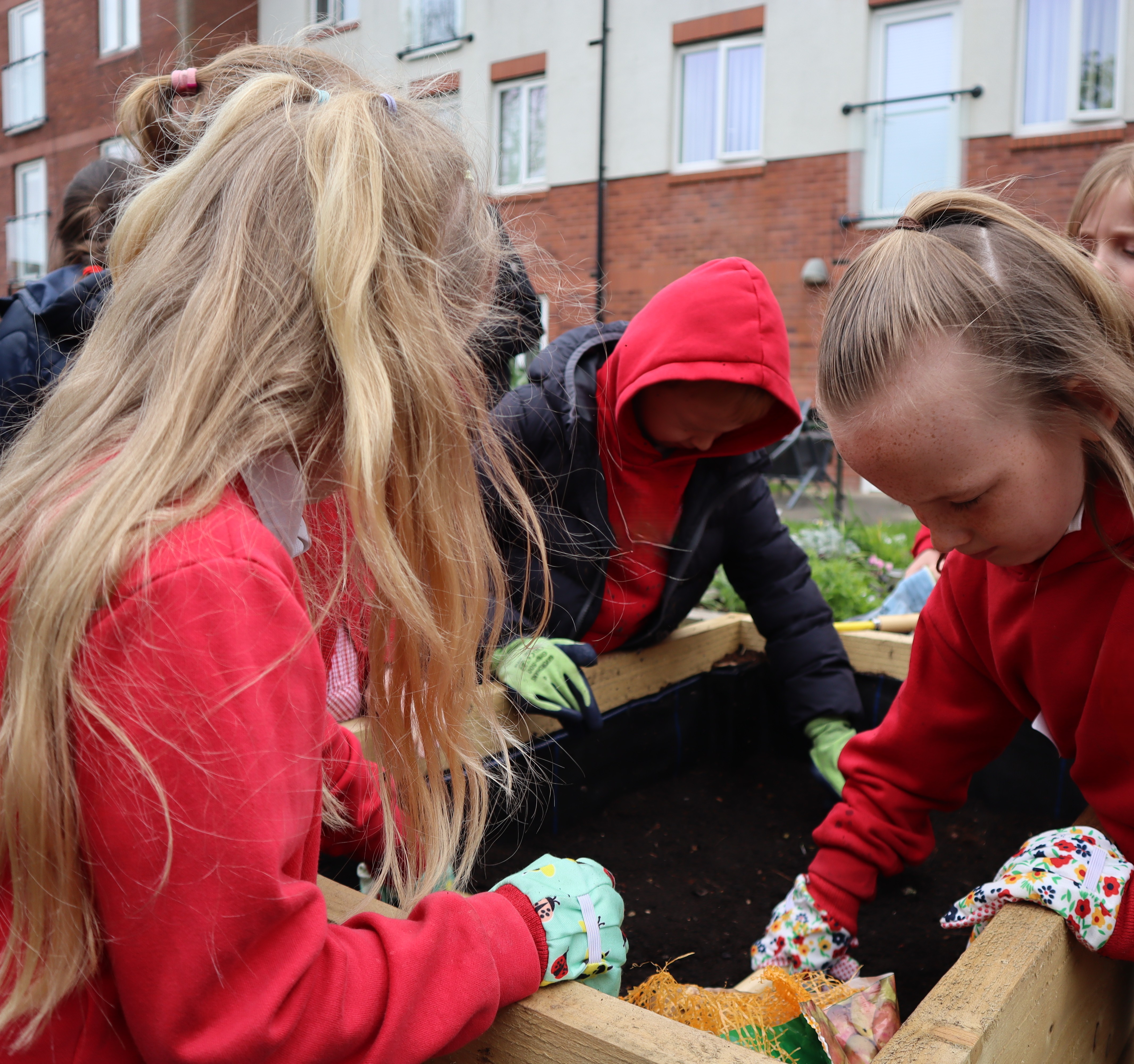 Several school-aged children wearing school uniforms and gardening gloves work together around a raised planting bed outdoors.