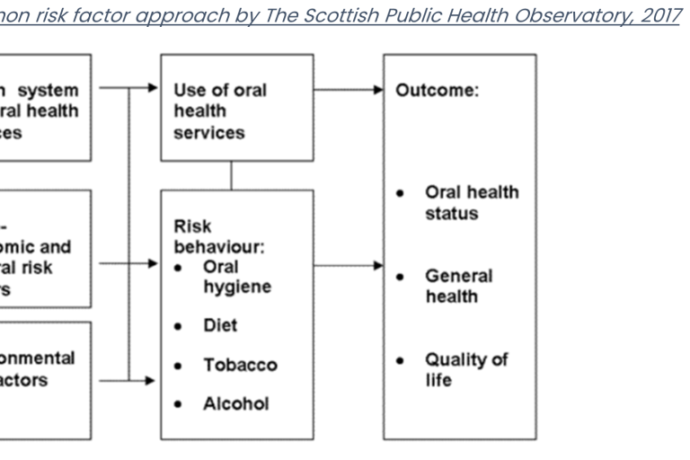 Flow Chart showing the common risk factors for health services & oral health services, evaluating risks - moving to use of Health Service due to selected risk, finally moving to Outcome - better oral health, general health, quality of life