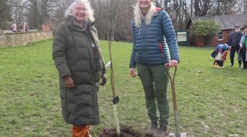 Cllr Sandra Graham and Cath Darling pose next to the Sycamore Gap tree sapling which was just planted in Rising Sun Country Park