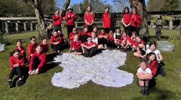 Butterfly planting