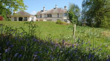 High Borrans house seen from across a field with wild flowers in the foreground and blue skies with trees around, the house is painted cream