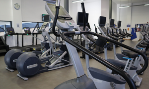 rowing machines and exercise bikes