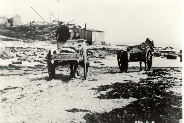 Two horse and carts onthe beach