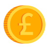 Pound coin